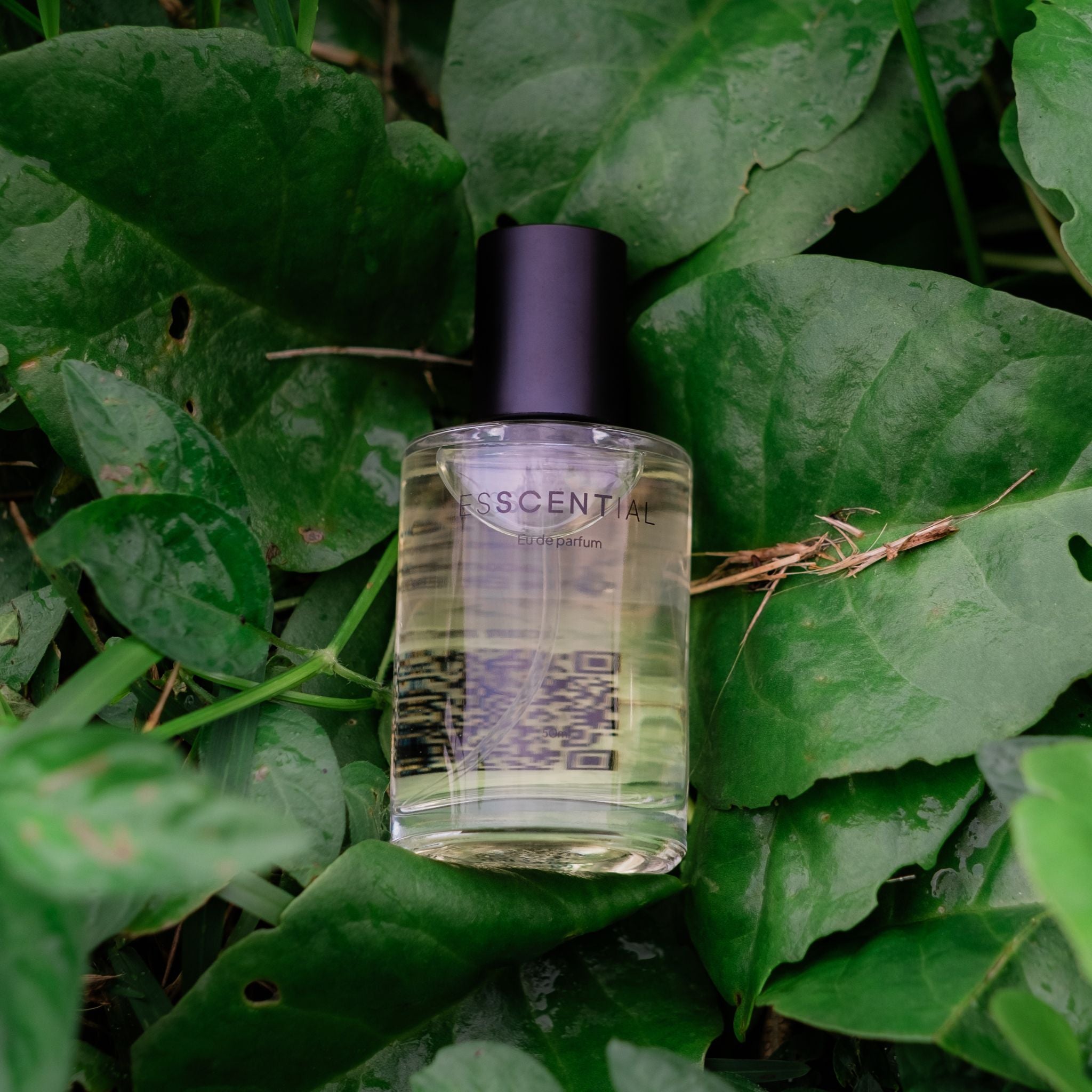 Floral perfume on a bed of leaves South Africa